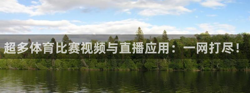 鲨鱼直播app安卓版：超多体育比赛视频与直播应用：一网打尽！