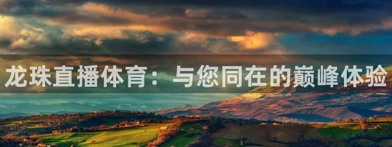 鲨鱼直播平台体育：龙珠直播体育：与您同在的巅峰体验