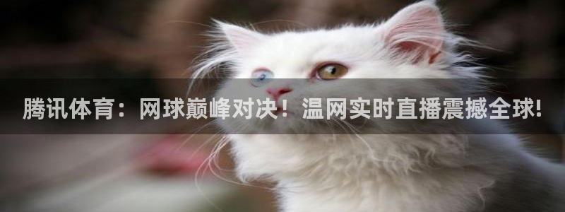 我想看鲨鱼直播：腾讯体育：网球巅峰对决！温网实时直播震撼全球!