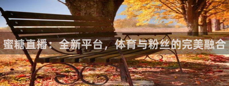 鲨鱼直播间：蜜糖直播：全新平台，体育与粉丝的完美融合