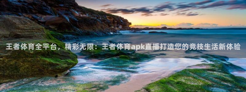 鲨鱼直播ios：王者体育全平台，精彩无限：王者体育apk直播打造您的竞技生活新体验