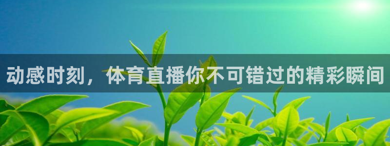 鲨鱼直播破解版：动感时刻，体育直播你不可错过的精彩瞬间