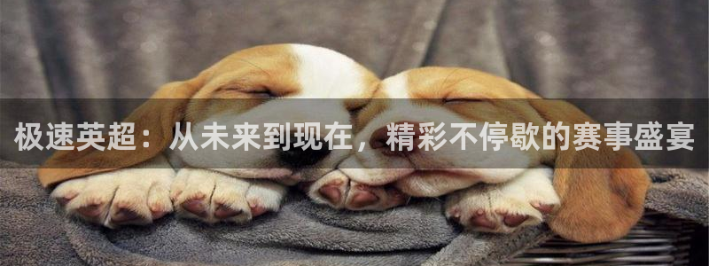 鲨鱼直播下载：极速英超：从未来到现在，精彩不停歇的赛事盛宴