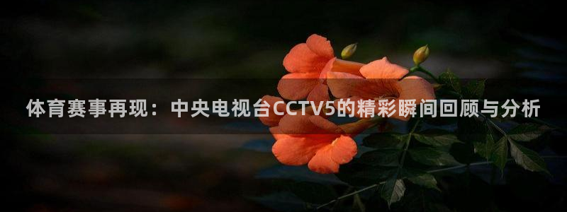 同志版鲨鱼直播官网下载