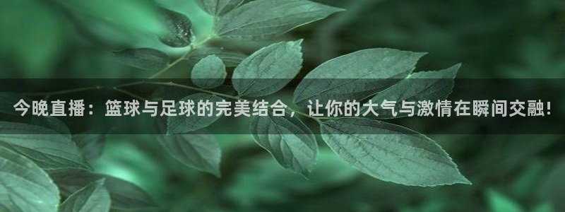鲨鱼直播体育下载：今晚直播：篮球与足球的完美结合，让你的大气与激情在瞬间交融!